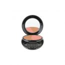 Black Bi-Level Compact w/ Brush
